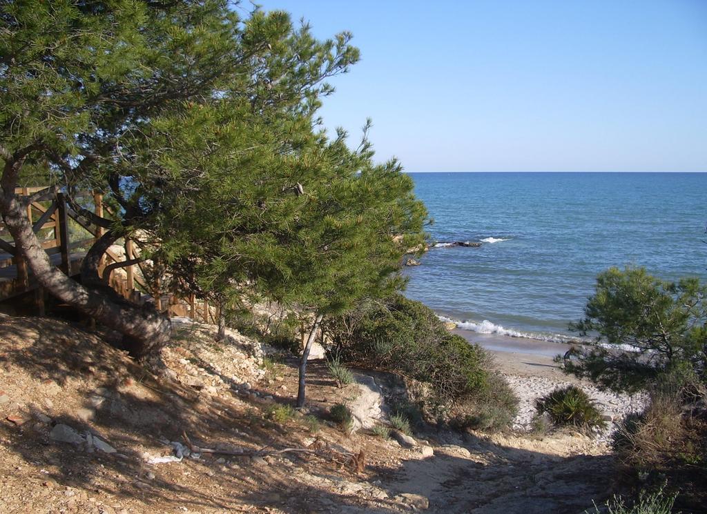 Apartamentos Marineu San Damian Playa Cargador Alcossebre Eksteriør bilde